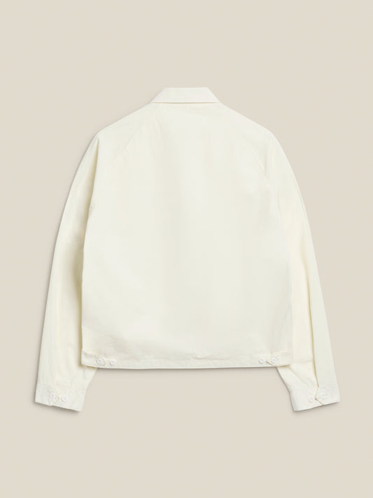 WINDBREAKER